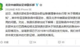 国安欠费最新爆料,揭秘巨额债务背后的真相